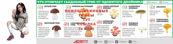 a pvp Абинск