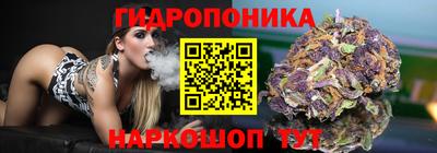 молекула духа Брянск