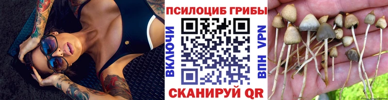 Псилоцибиновые грибы GOLDEN TEACHER  наркота  Киреевск 